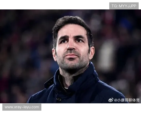 托雷斯与法布雷加斯在控球推动下角色分化趋势明显