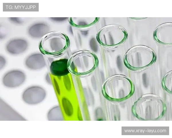 维尔茨与厄德高组织效率对比分析